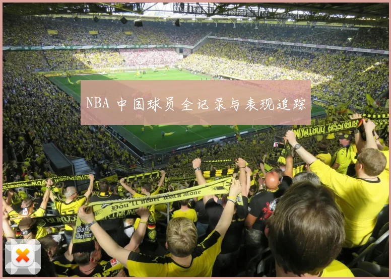 NBA 中国球员全记录与表现追踪
