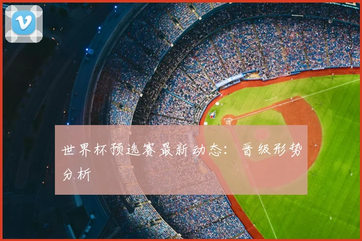 世界杯预选赛最新动态：晋级形势分析