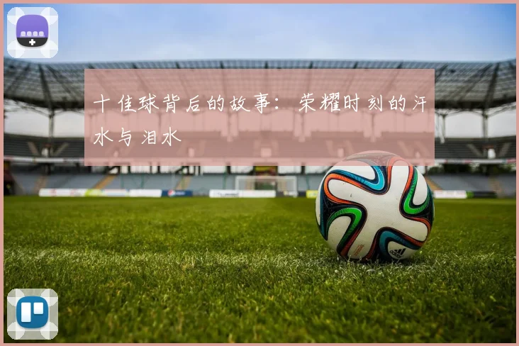 十佳球背后的故事：荣耀时刻的汗水与泪水